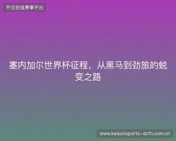 塞内加尔世界杯征程，从黑马到劲旅的蜕变之路